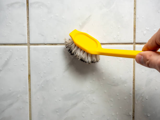 Best Health and Safety Mold Remediation in Waelder, TX