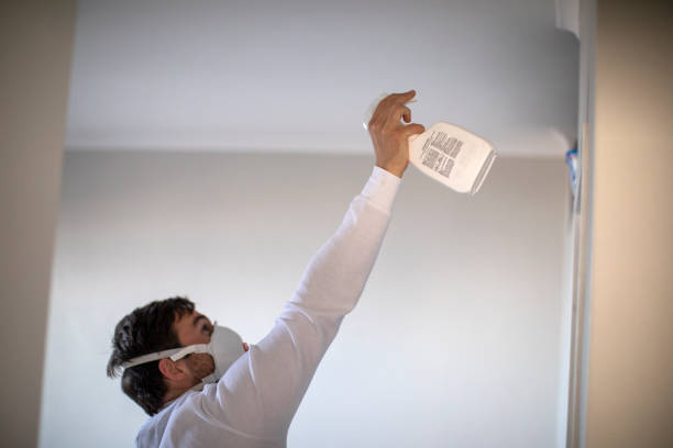 Best Residential Mold Remediation in Waelder, TX