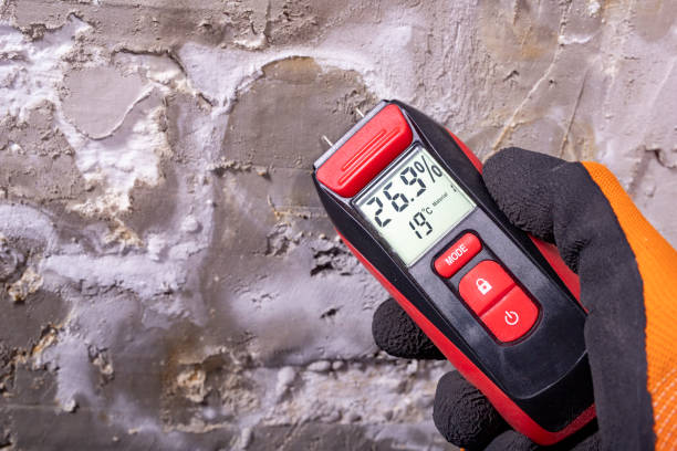 Best Mold Testing and Inspection Services in Waelder, TX